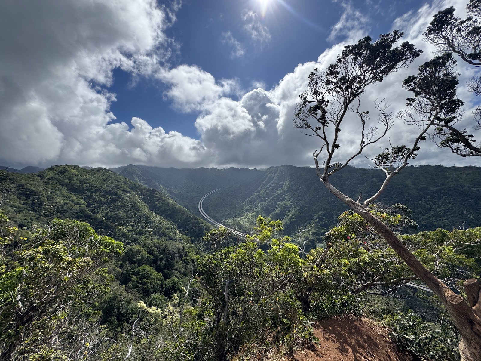 ʻAiea Loop Trailhead