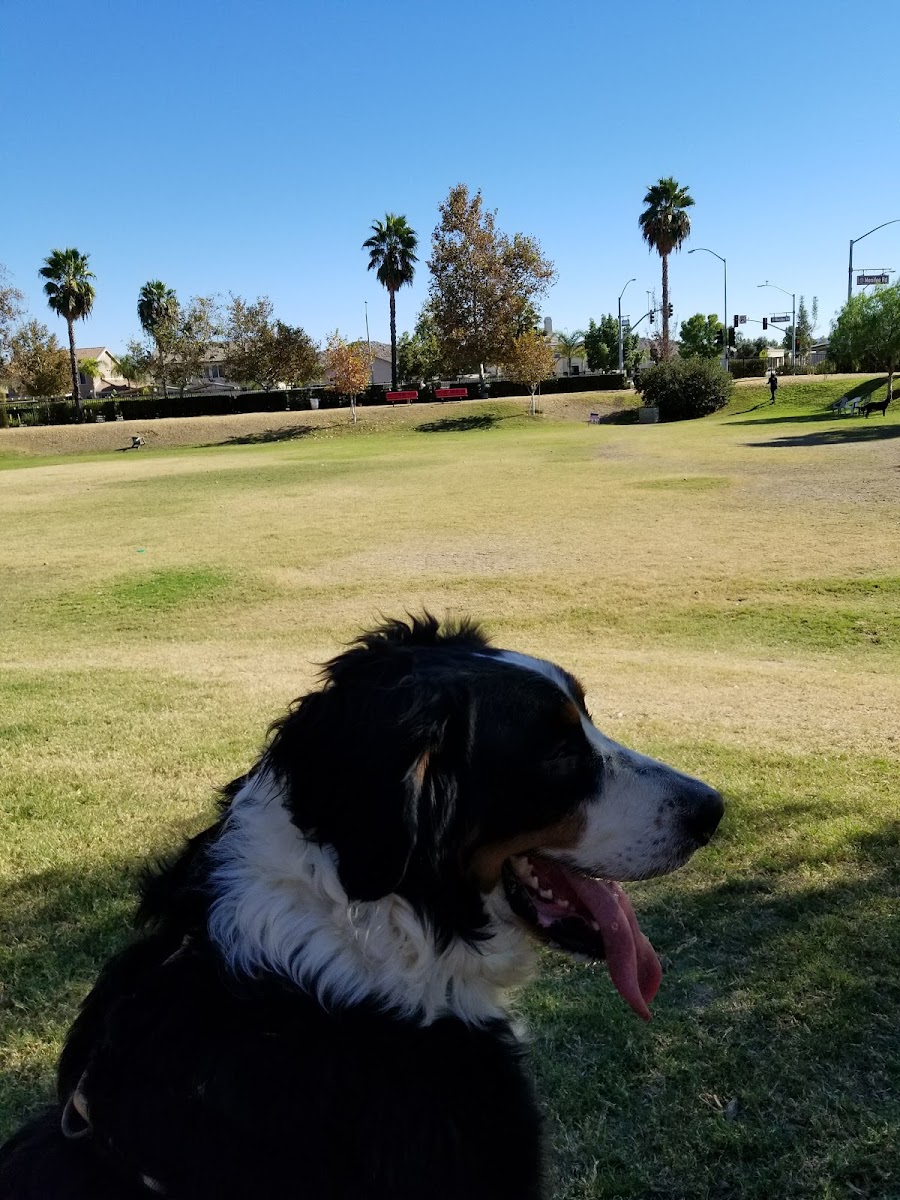 Aldergate Dog Park, Valley-Wide Recreation and Park District