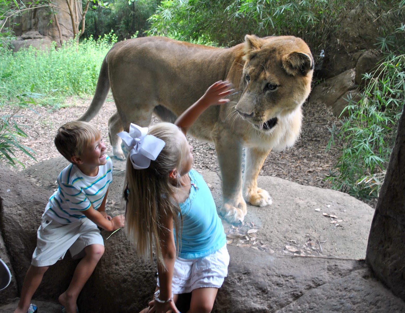 Alexandria Zoological Park