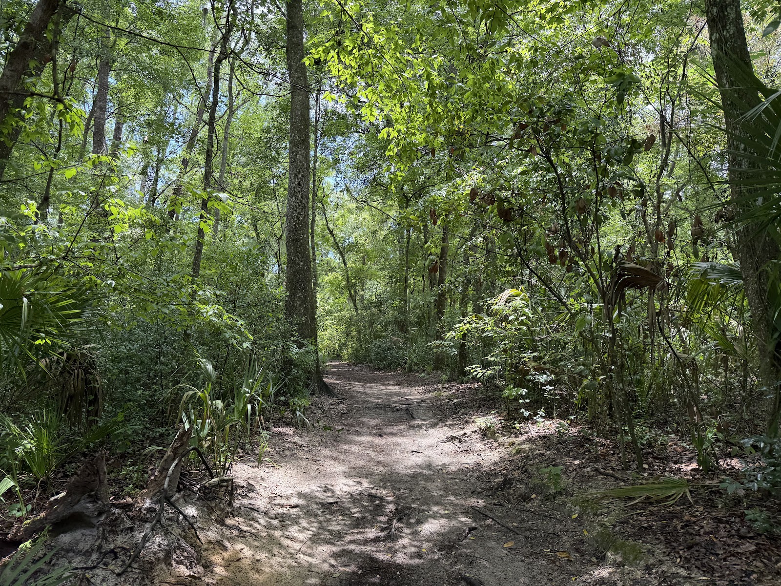 Alfred A. Ring Park