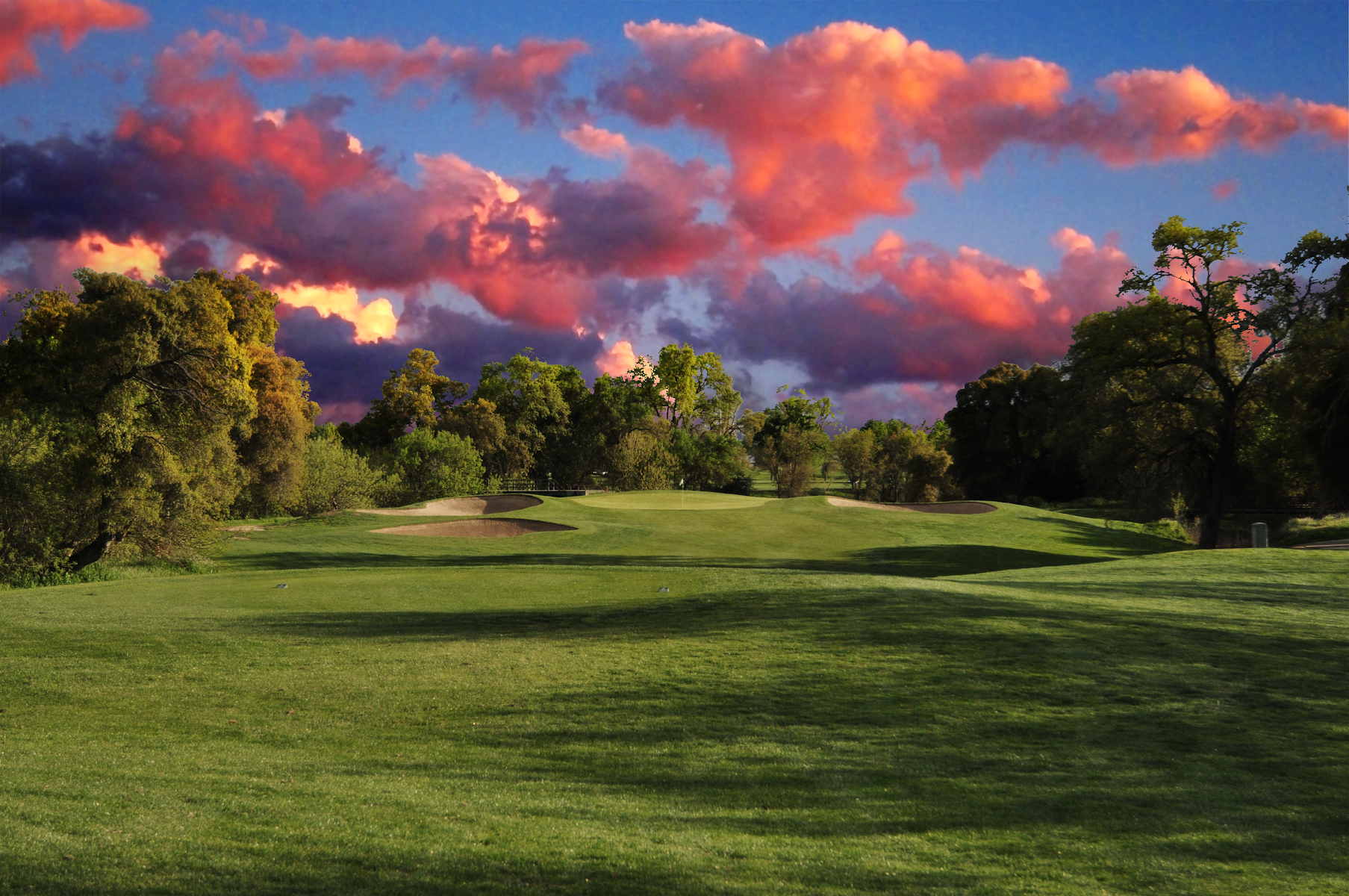Alister Mackenzie Golf Course