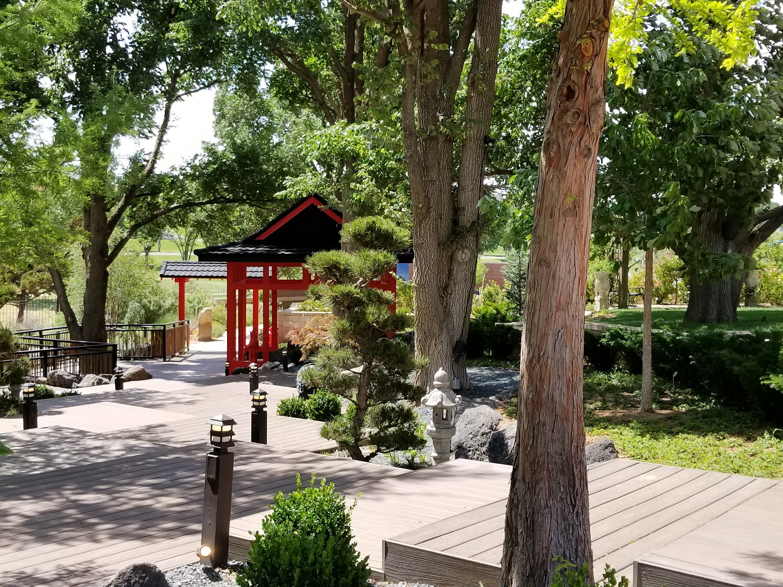 Amarillo Botanical Gardens & Afternoon Stroll