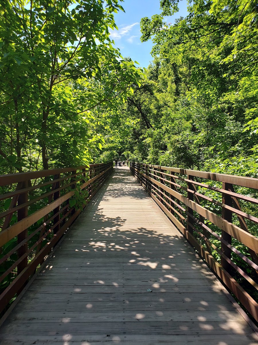 Amherst Beaver Creek Reservation