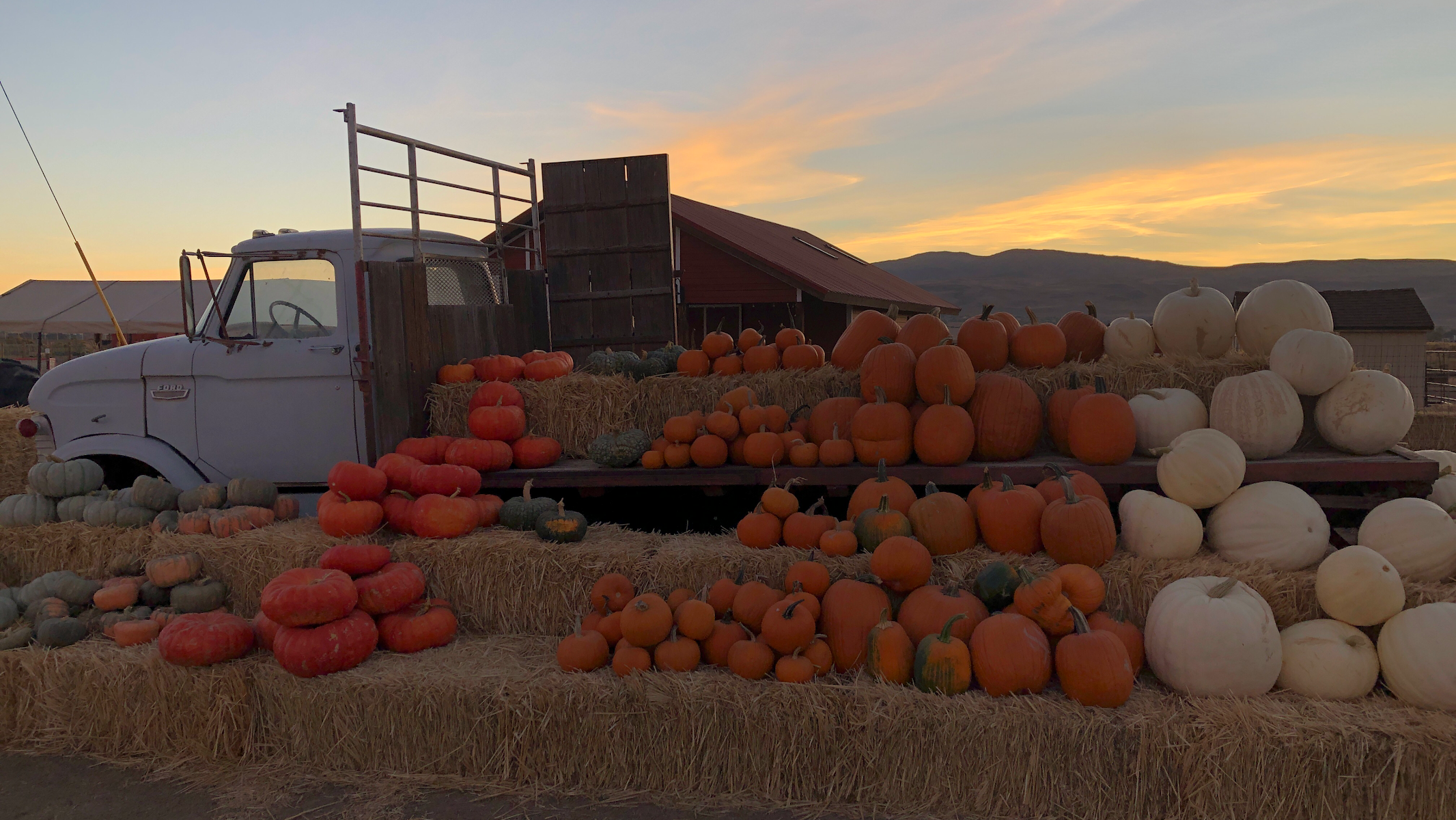 Andelin Family Farm