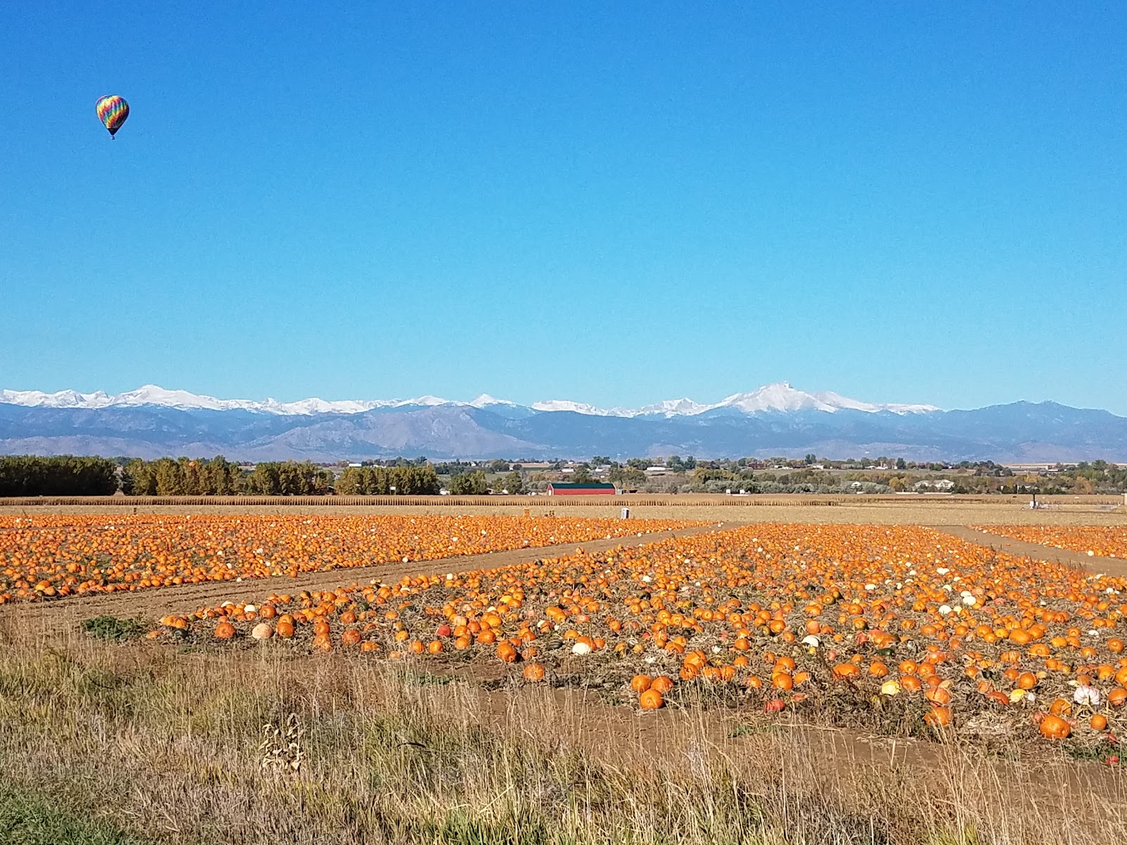 Anderson Farms