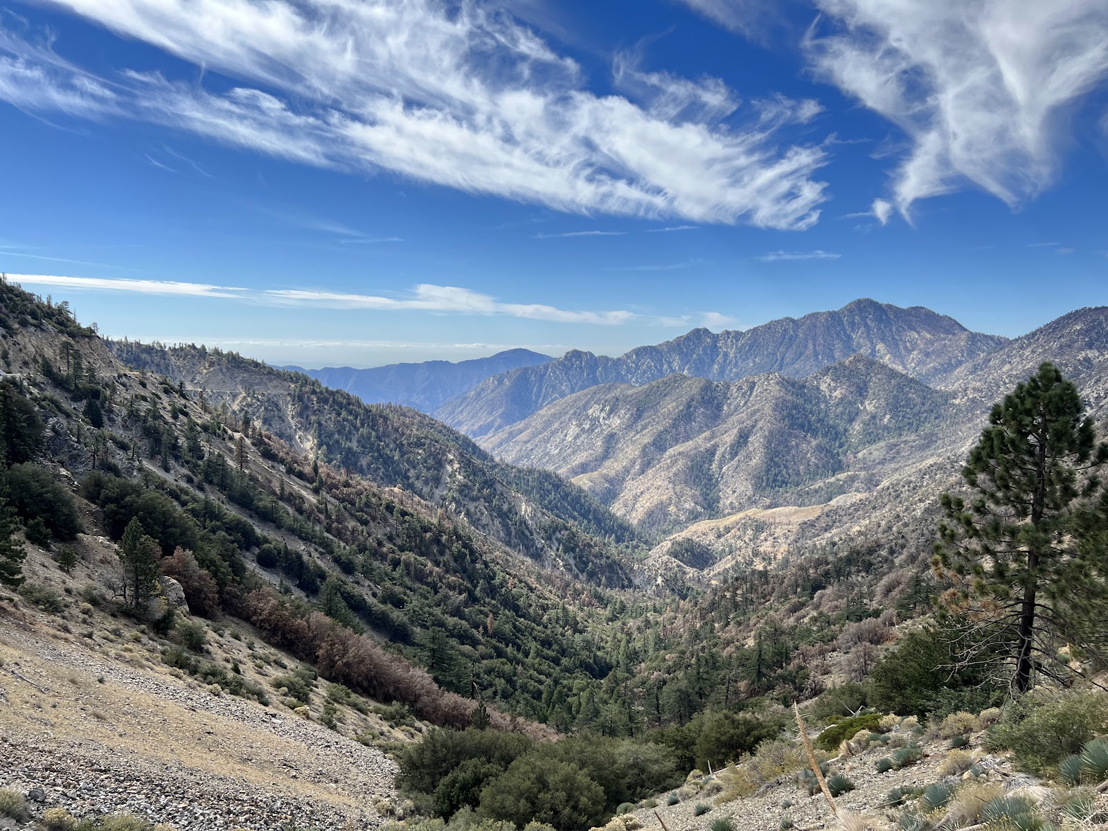 Angeles National Forest