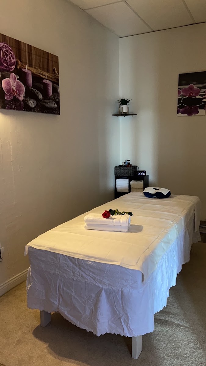 ANN SPA