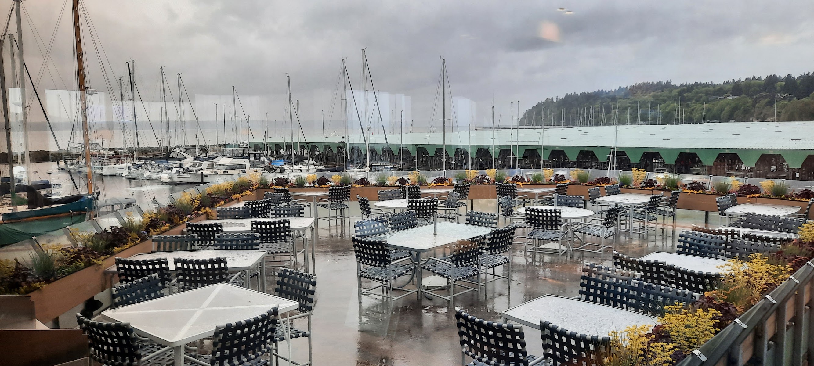 Anthony's HomePort