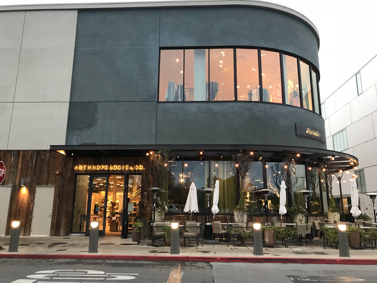 Anthropologie