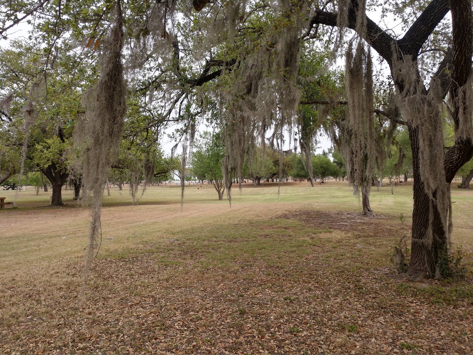 Anzalduas Park