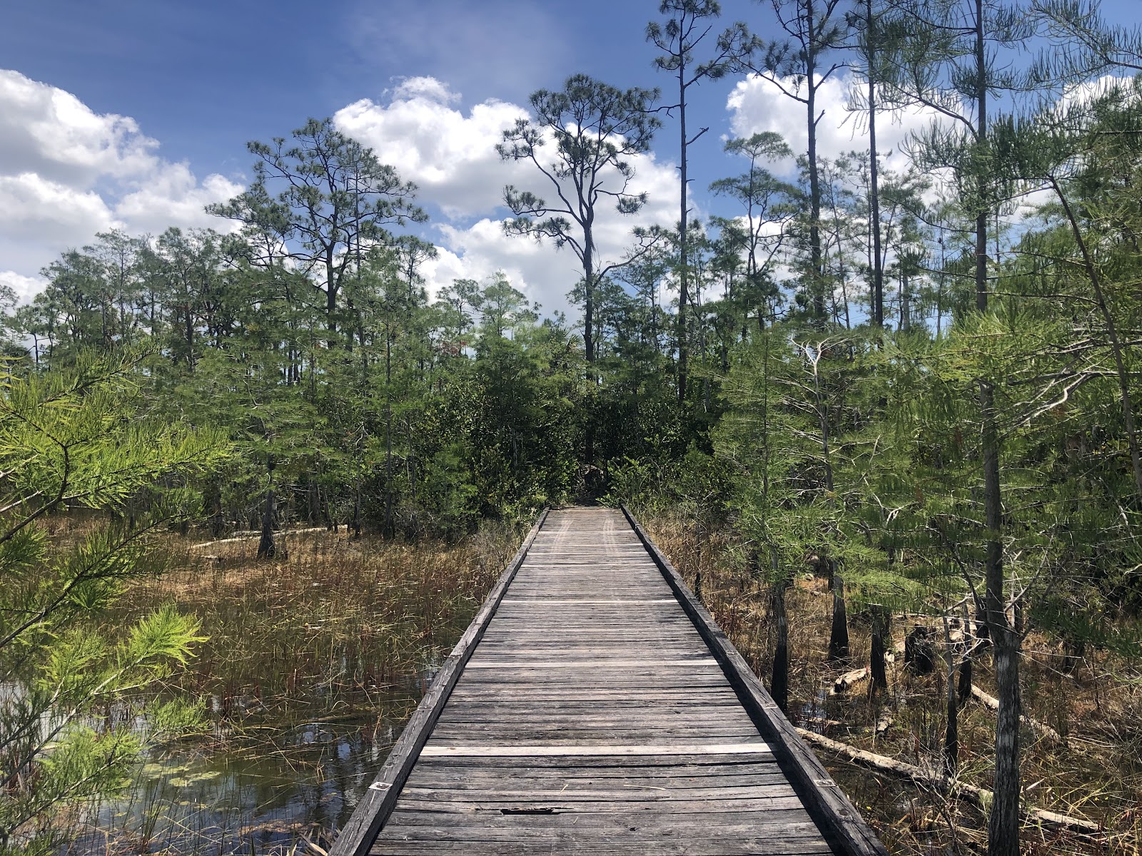Apoxee Trail