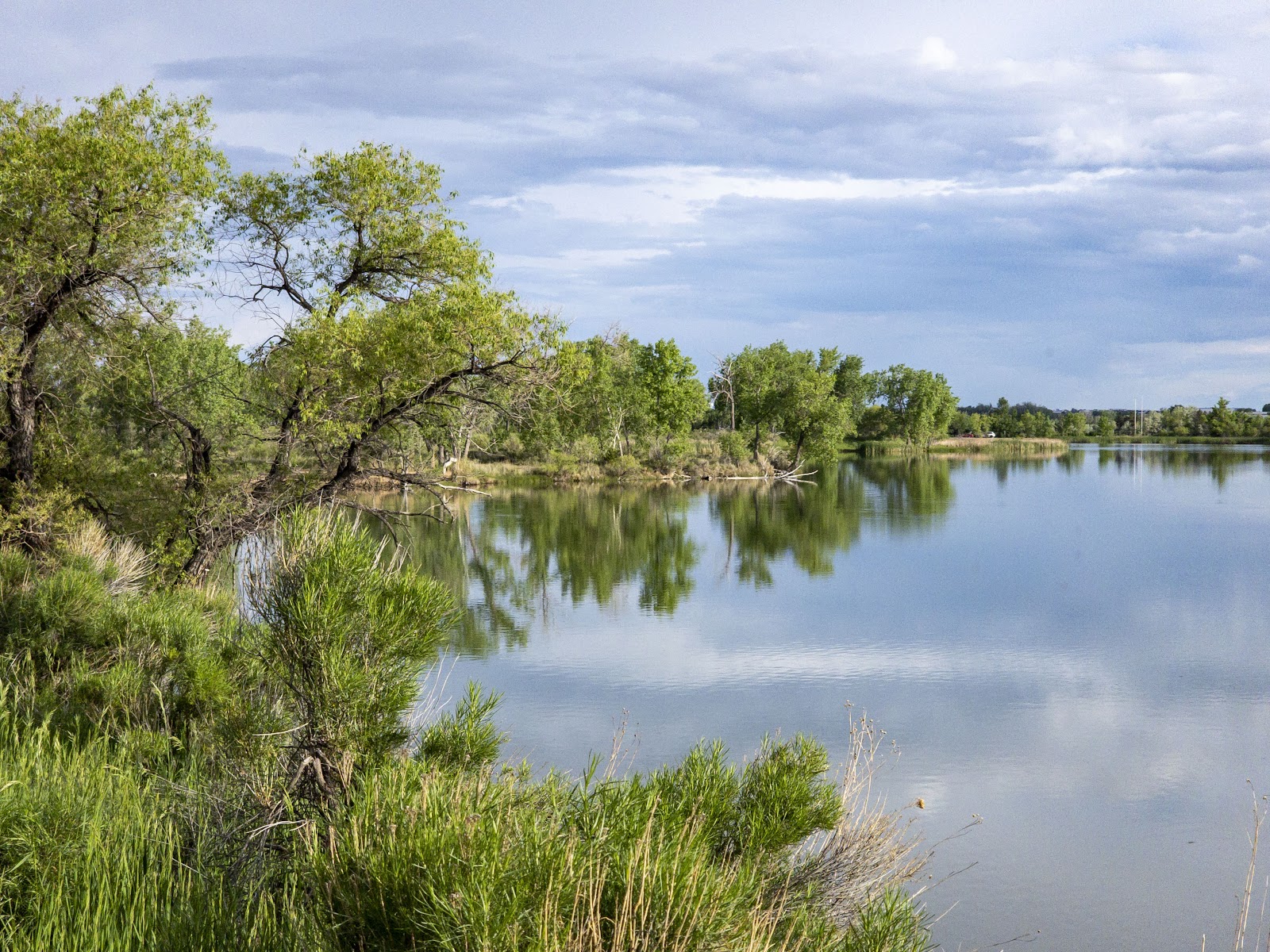 Arapaho Bend Natural Area