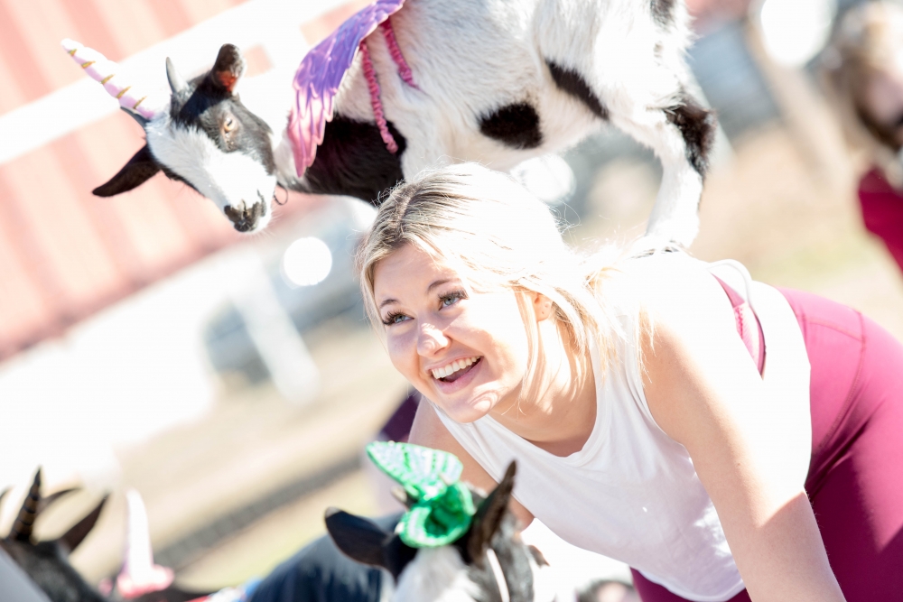 Arizona Goat Yoga