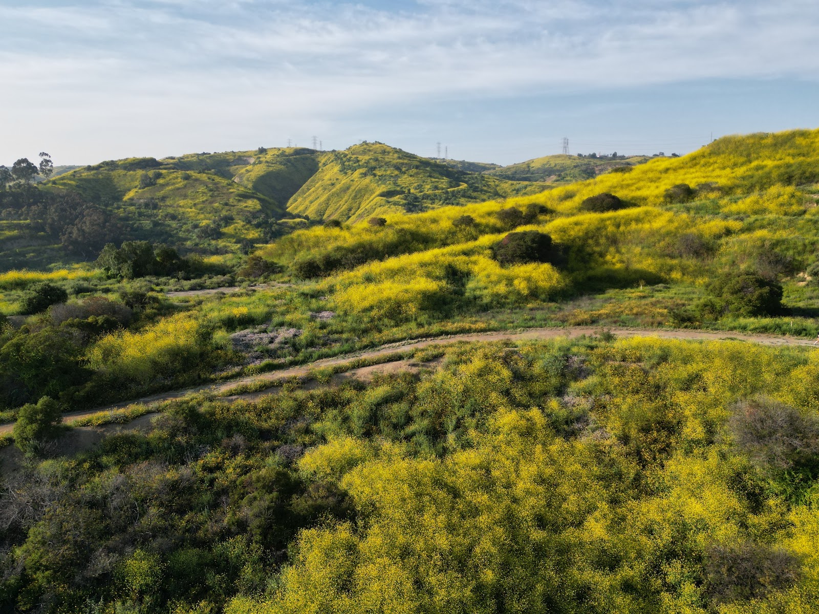 Arroyo Pescadero Trailhead