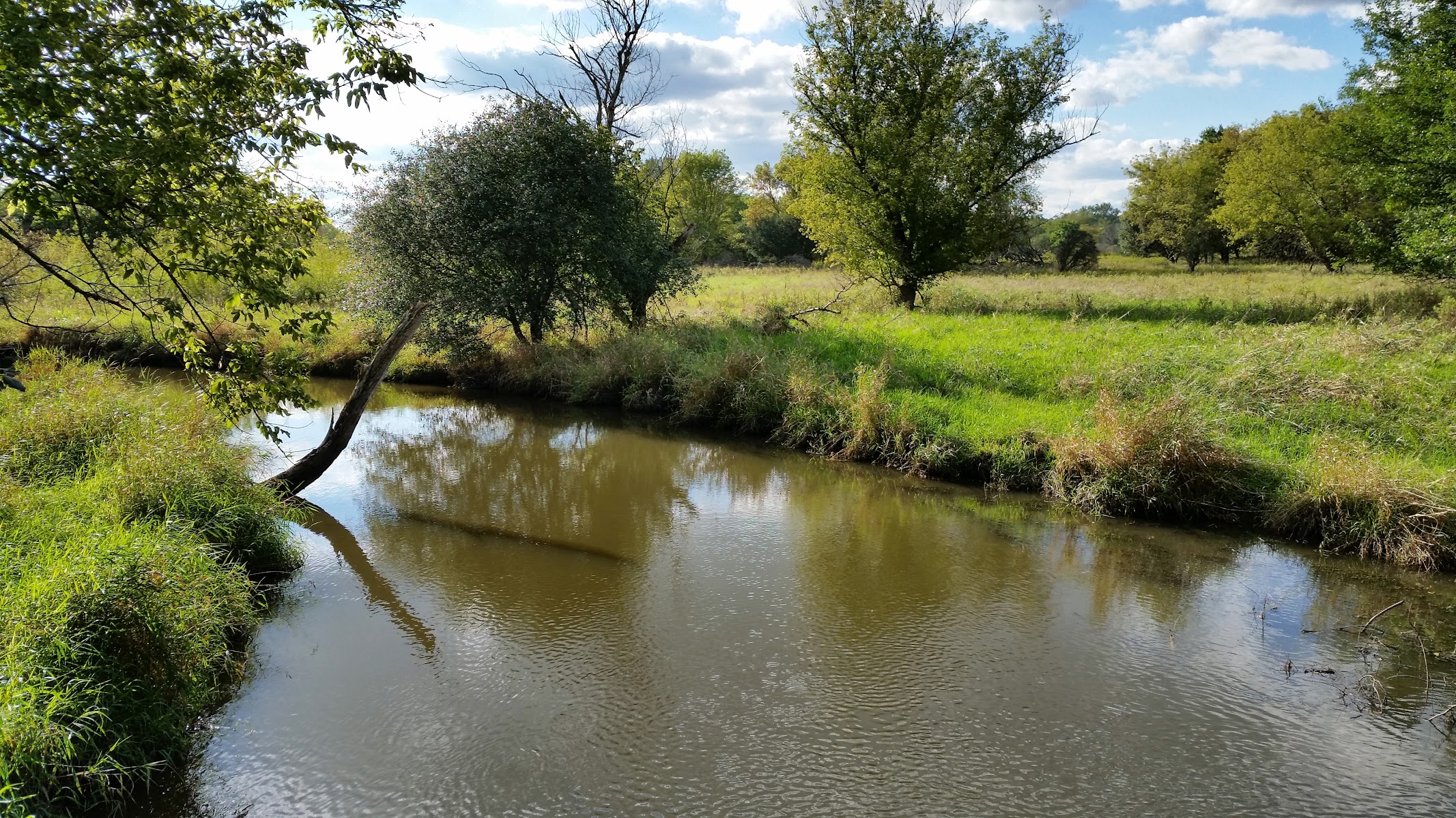 Arthur L. Janura Preserve
