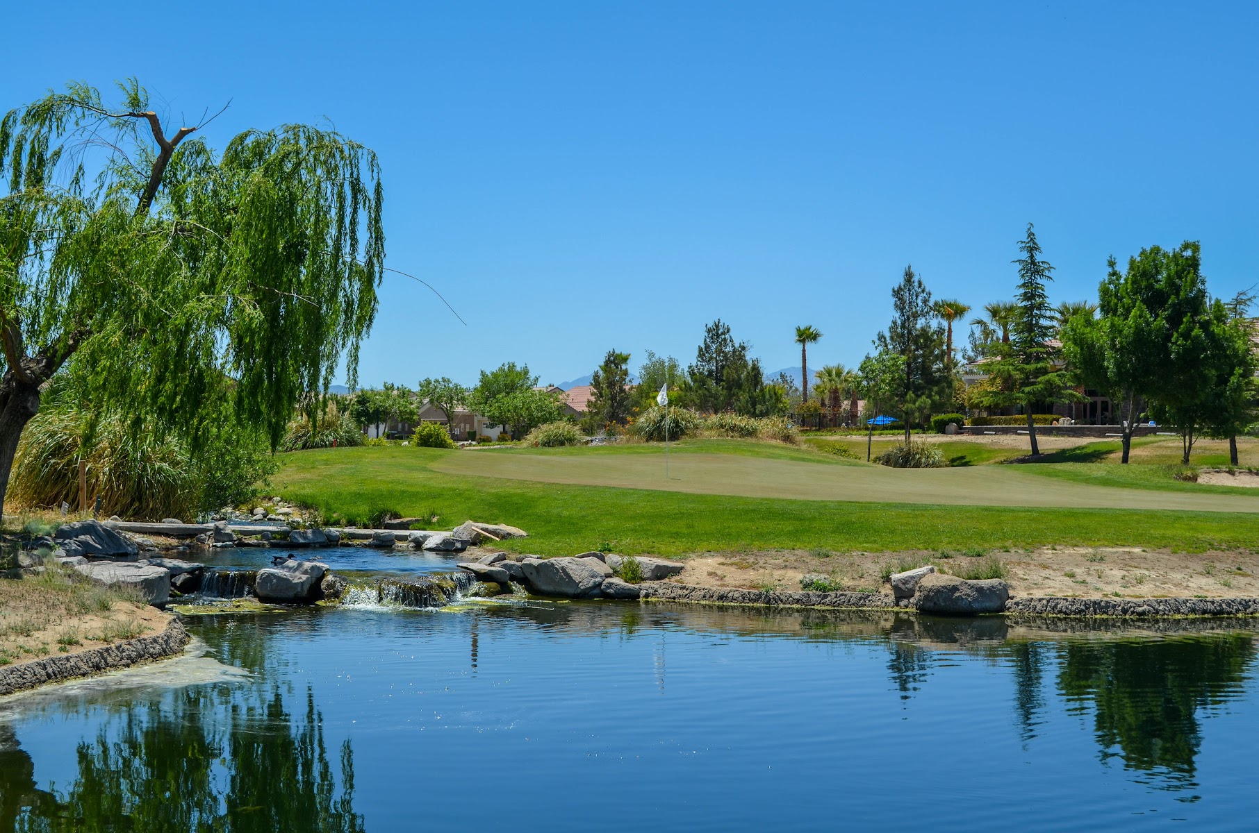 Ashwood Golf Course & Grill