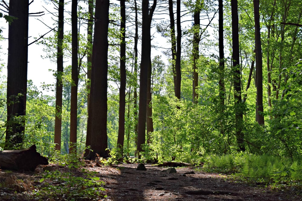 Audubon Caratunk Wildlife Refuge