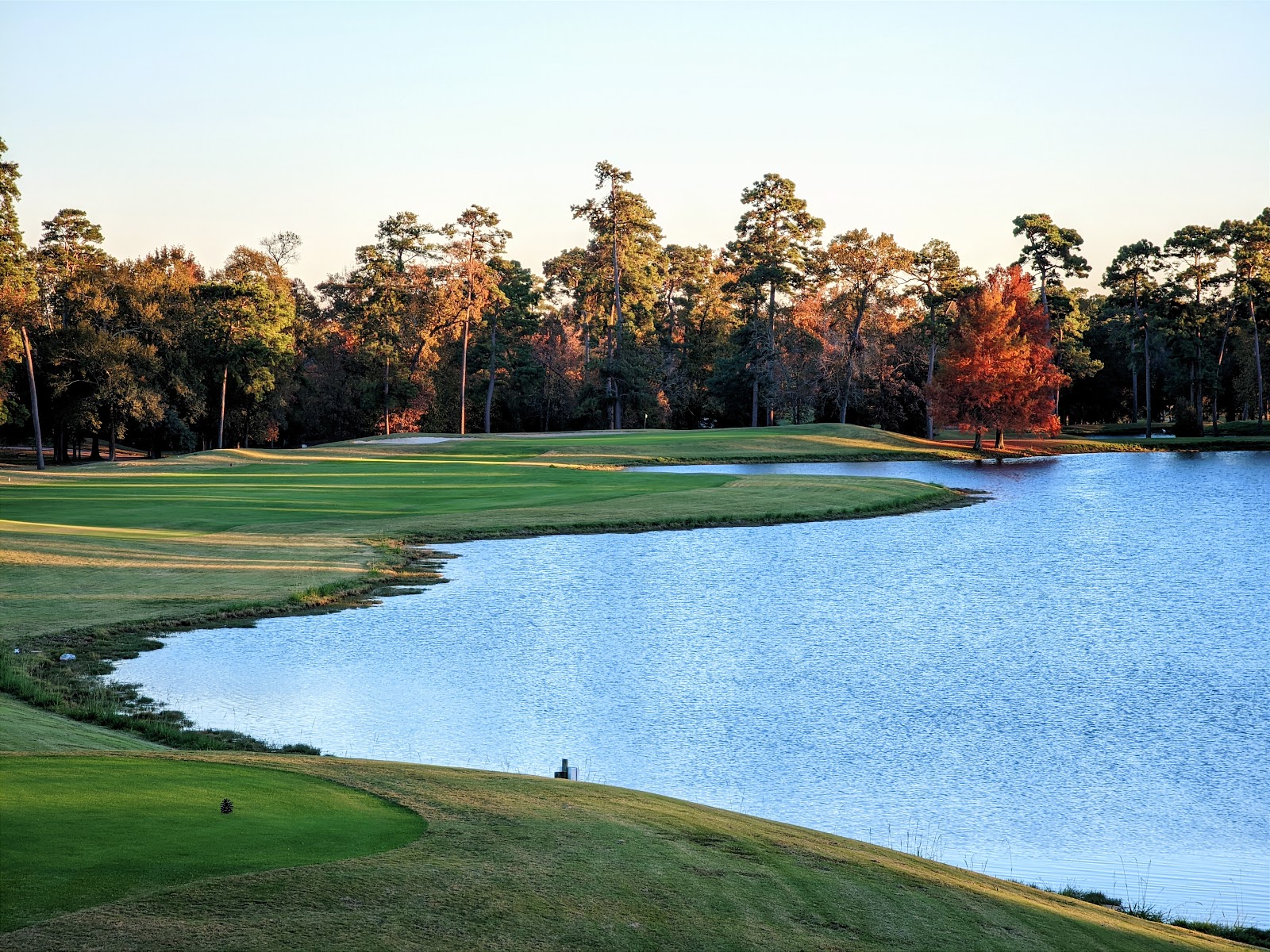 Augusta Pines Golf Club