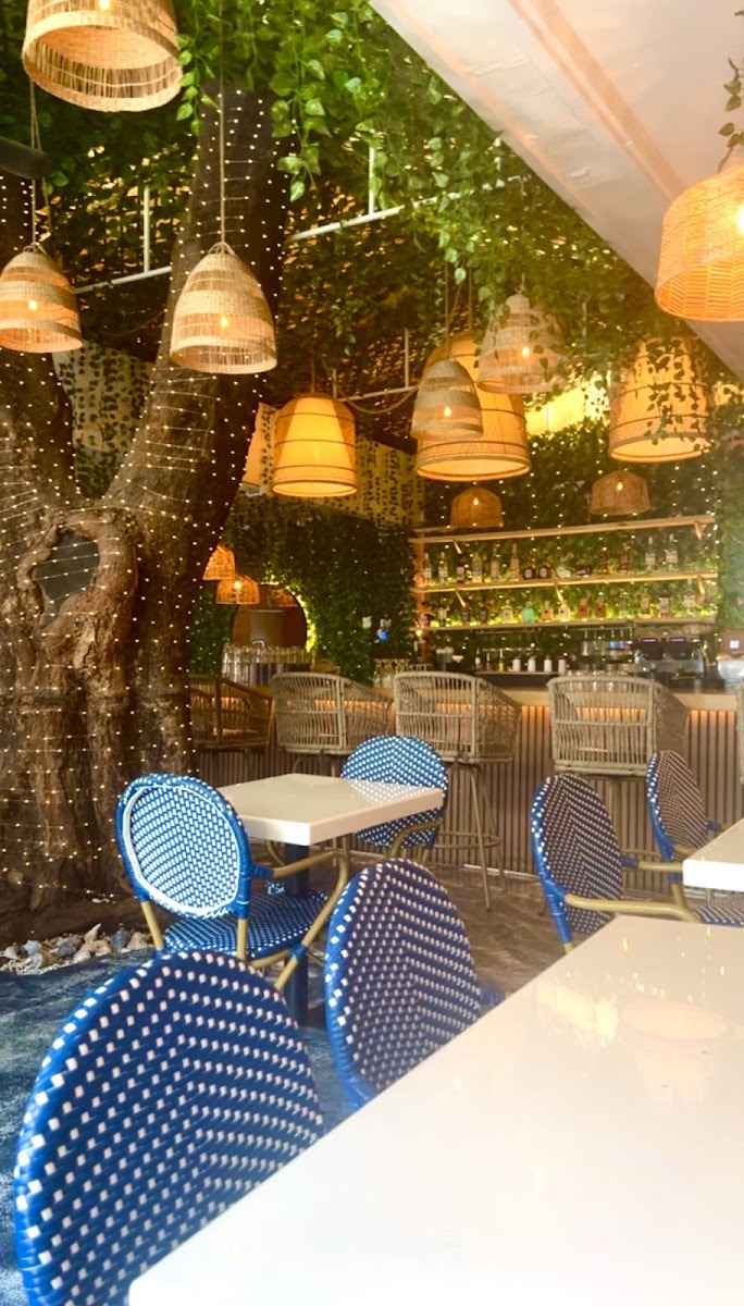 AZUCAR CUBAN CUISINE