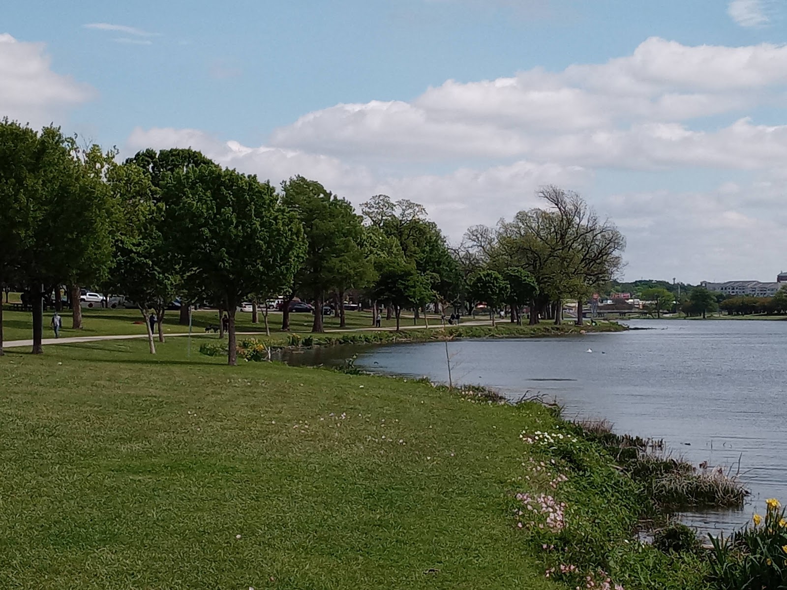 Bachman Lake Park