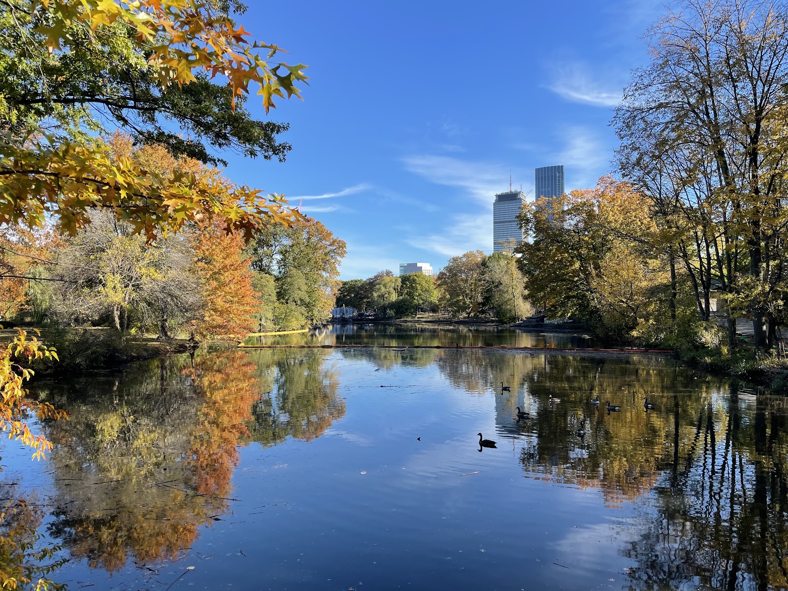 Back Bay Fens