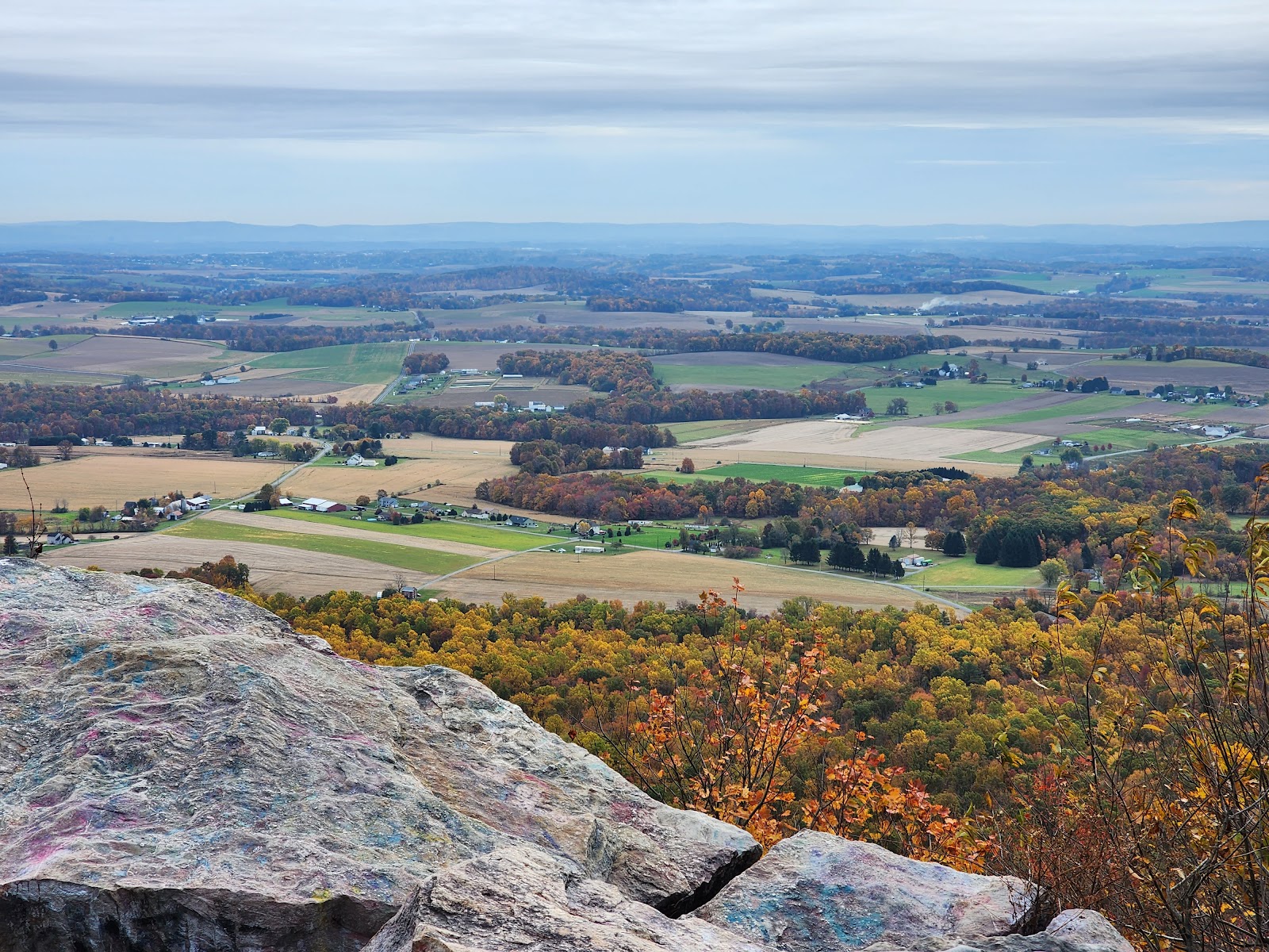 Bake Oven Knob