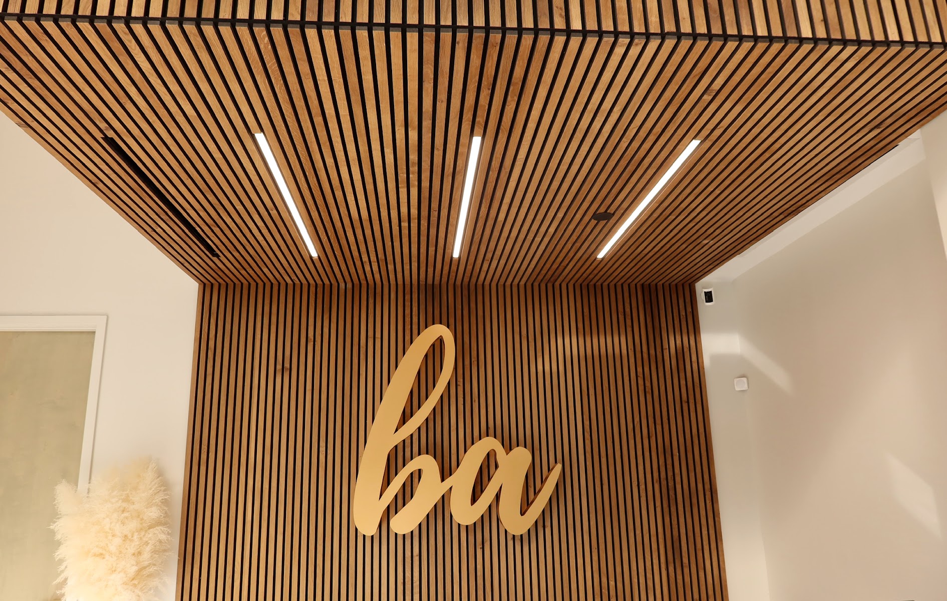 Balanced Aesthetics + Wellness