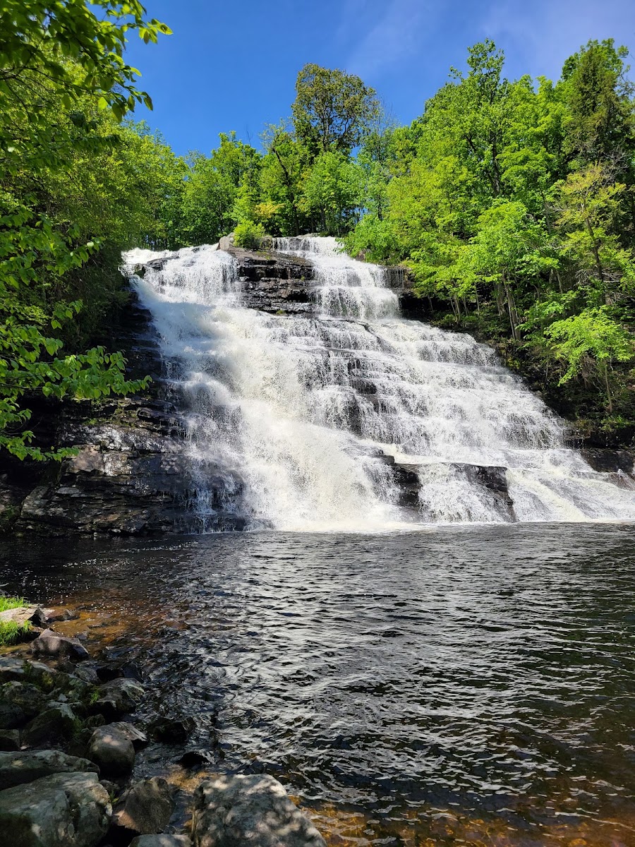 Barberville Falls Preserve