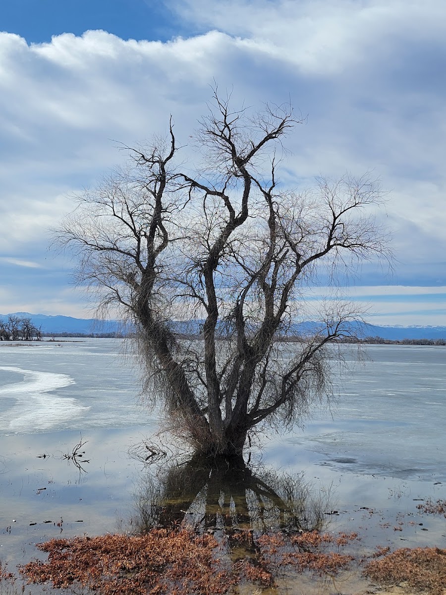 Barr Lake Nature Center