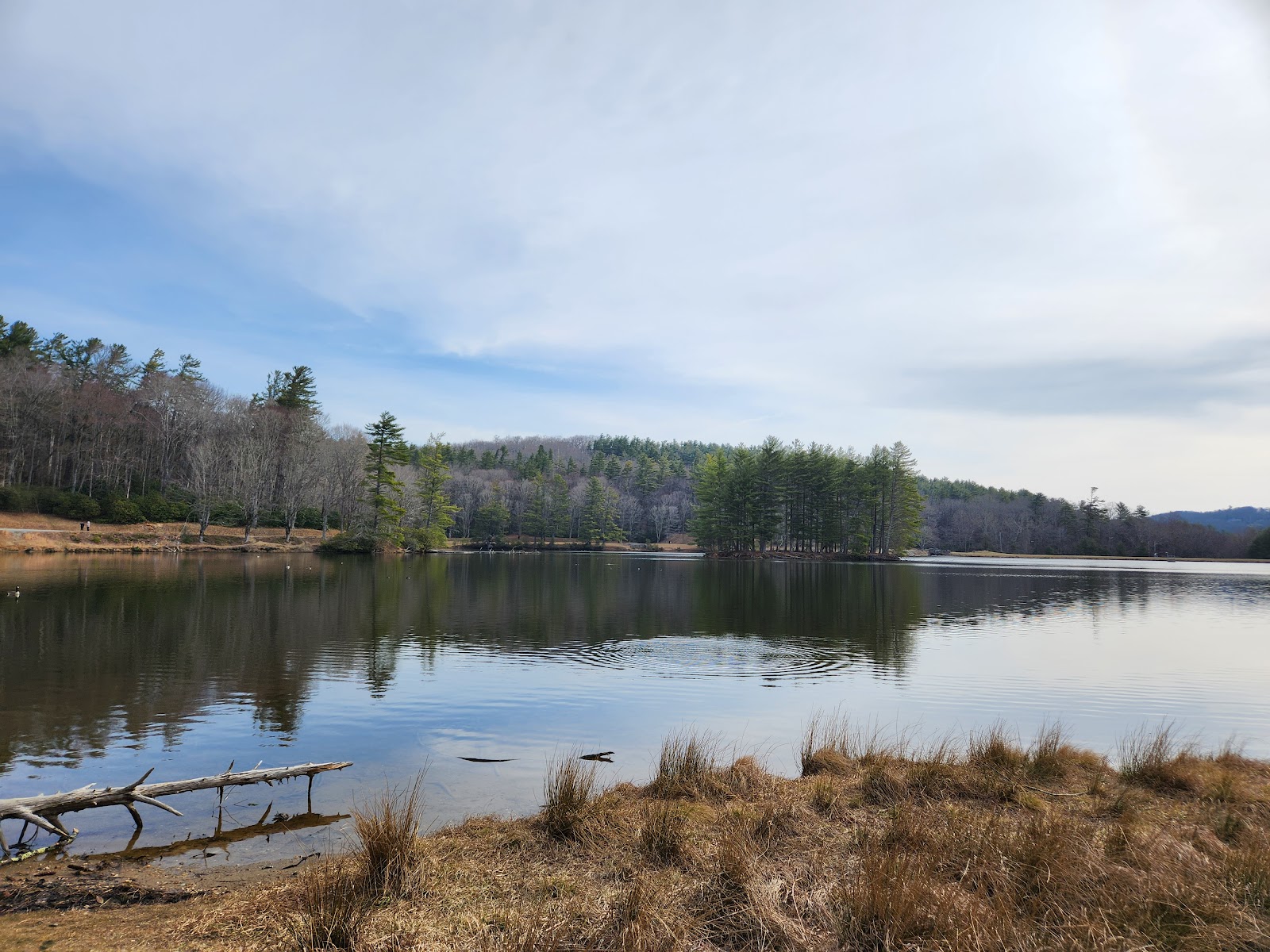 Bass Lake Trail