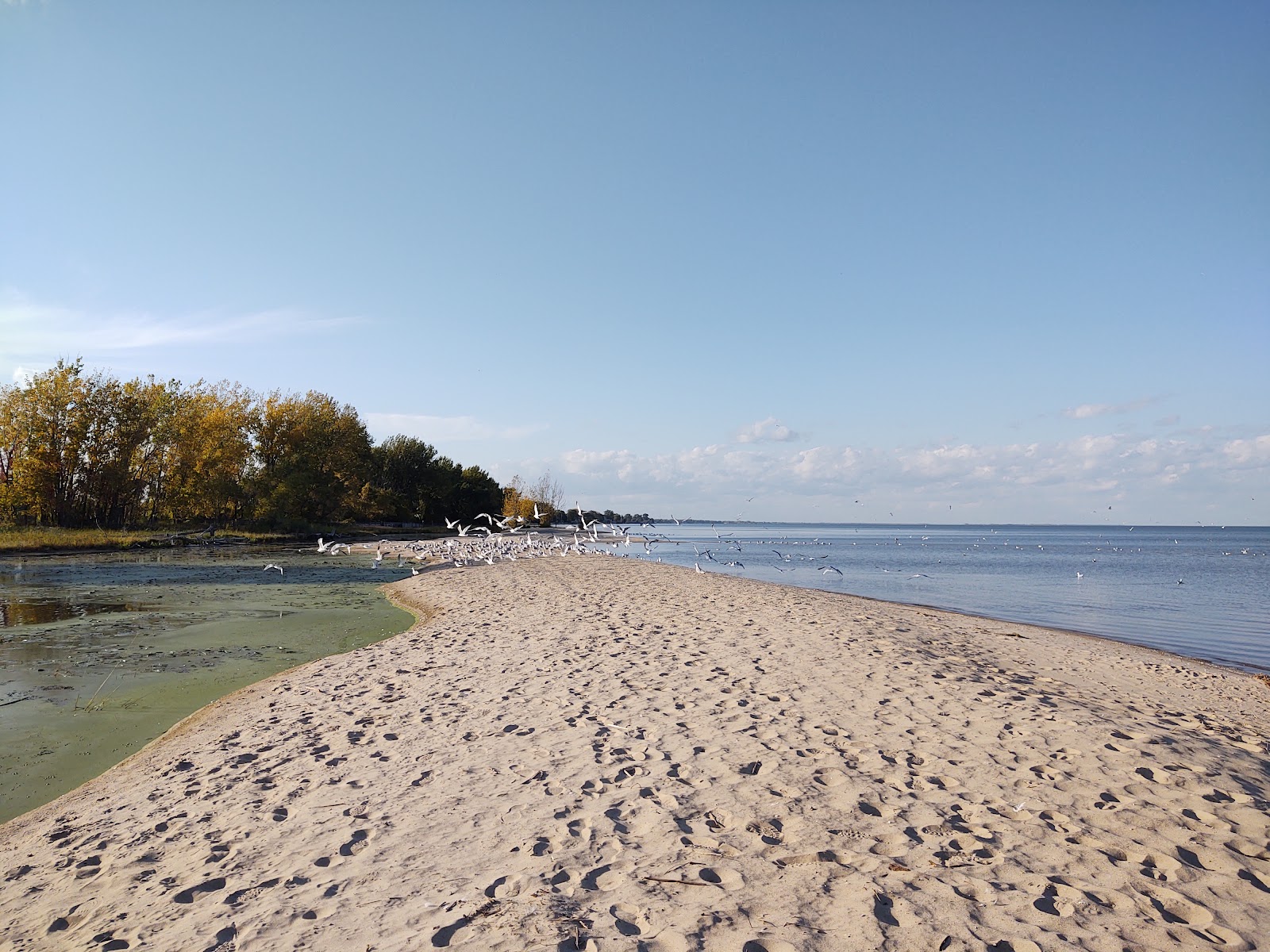 Bay City State Park