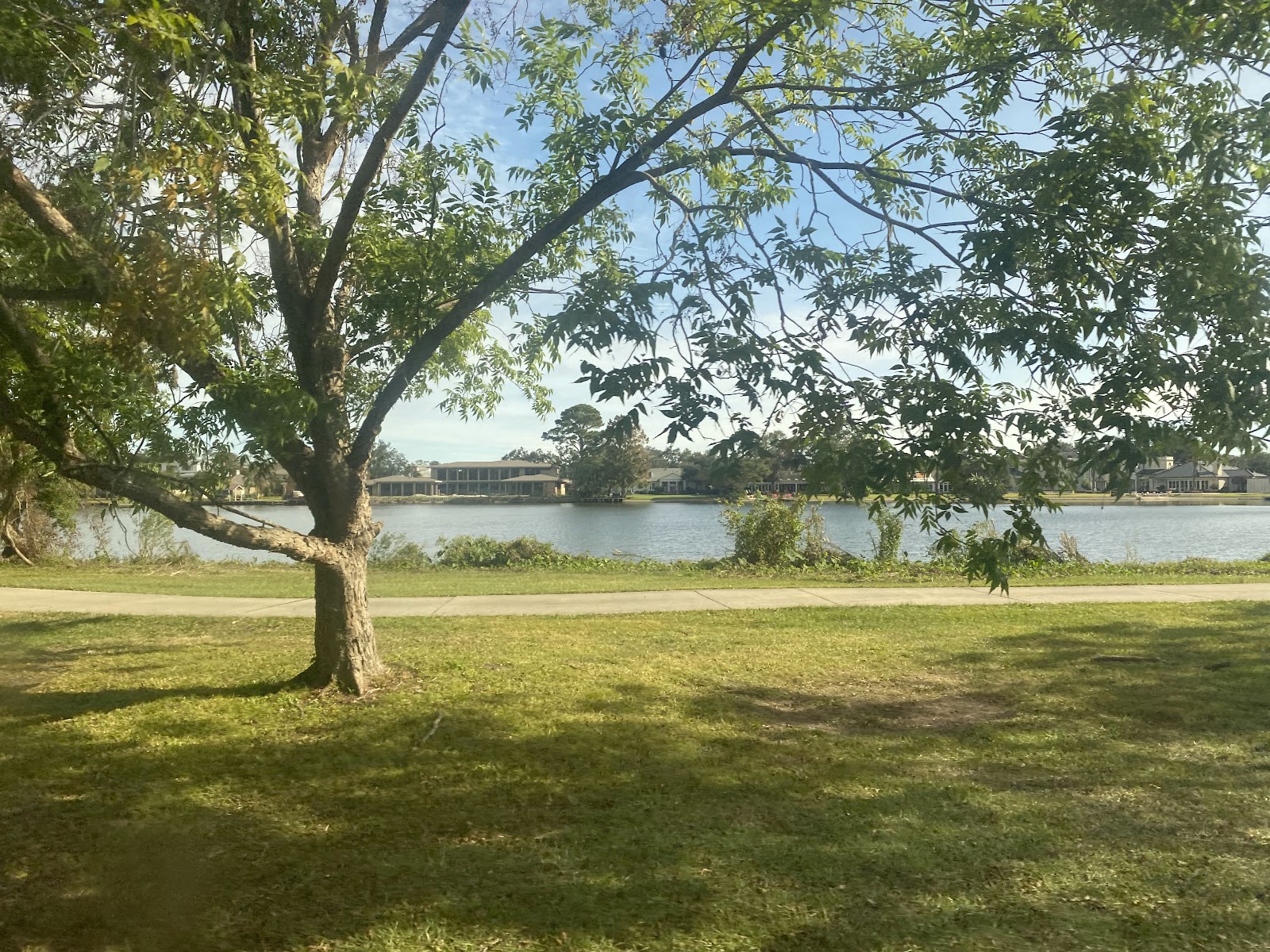 Bayou Oaks At City Park