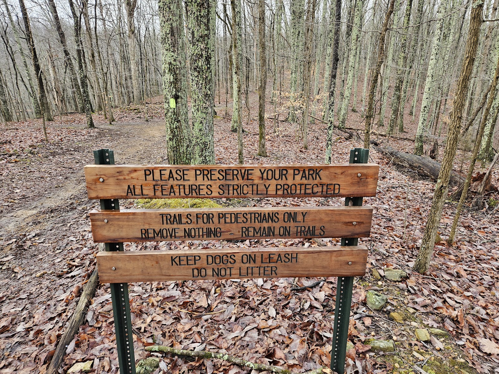 Beaman Park