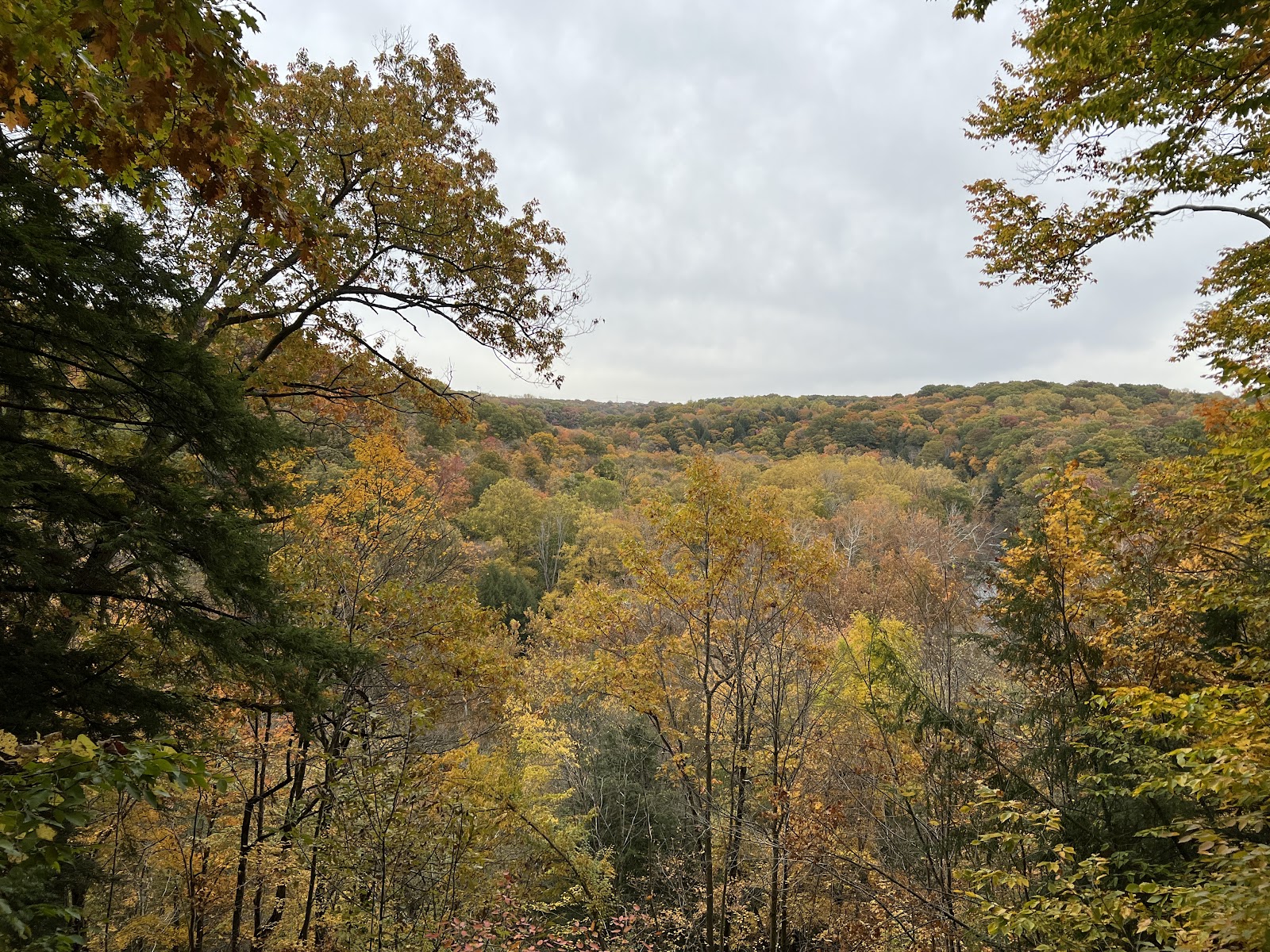 Bedford Reservation