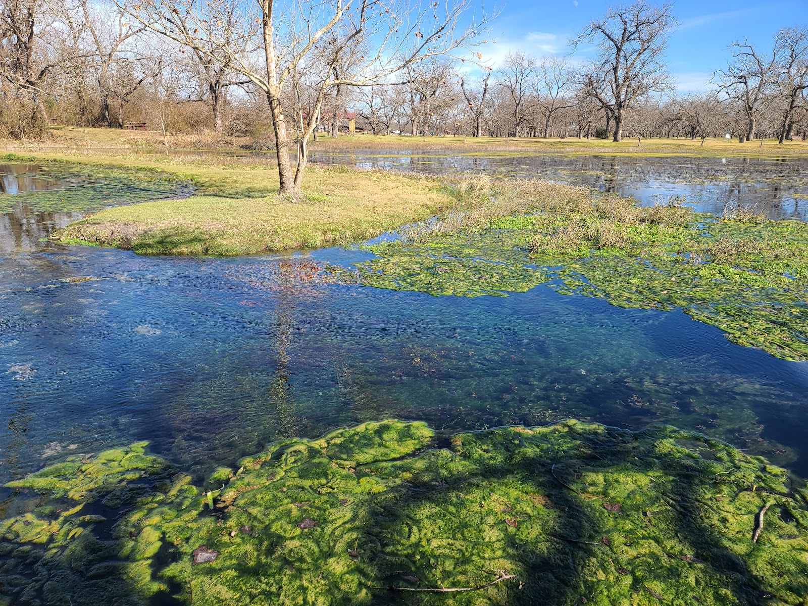 Berry Springs Park & Preserve