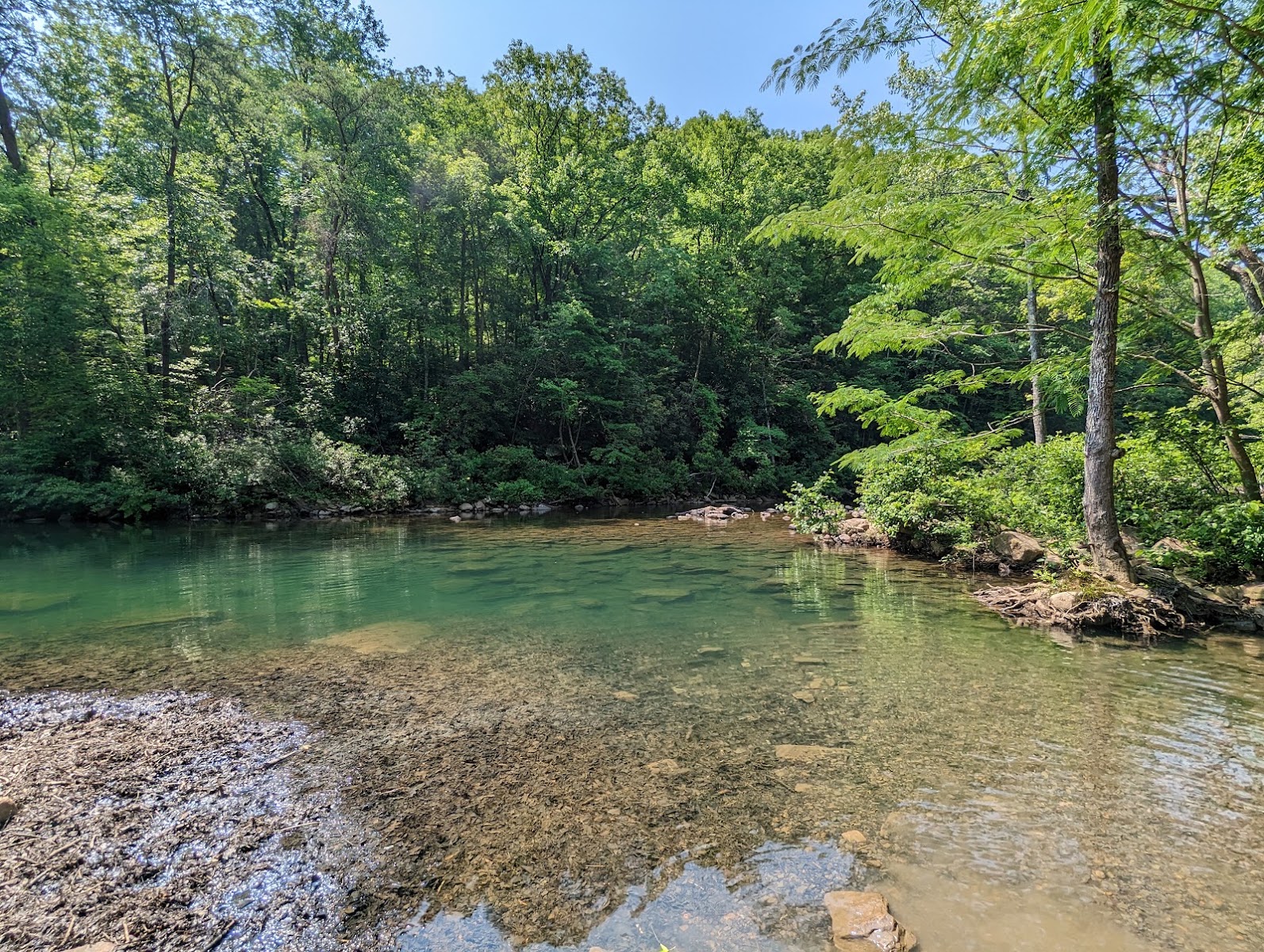 Big Soddy Creek Gulf