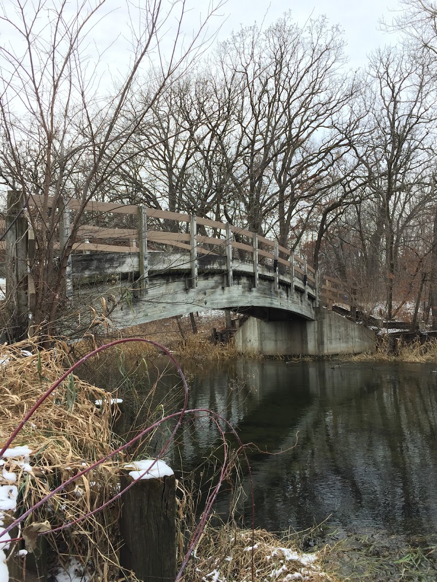 Big Willow Park, Minnetonka