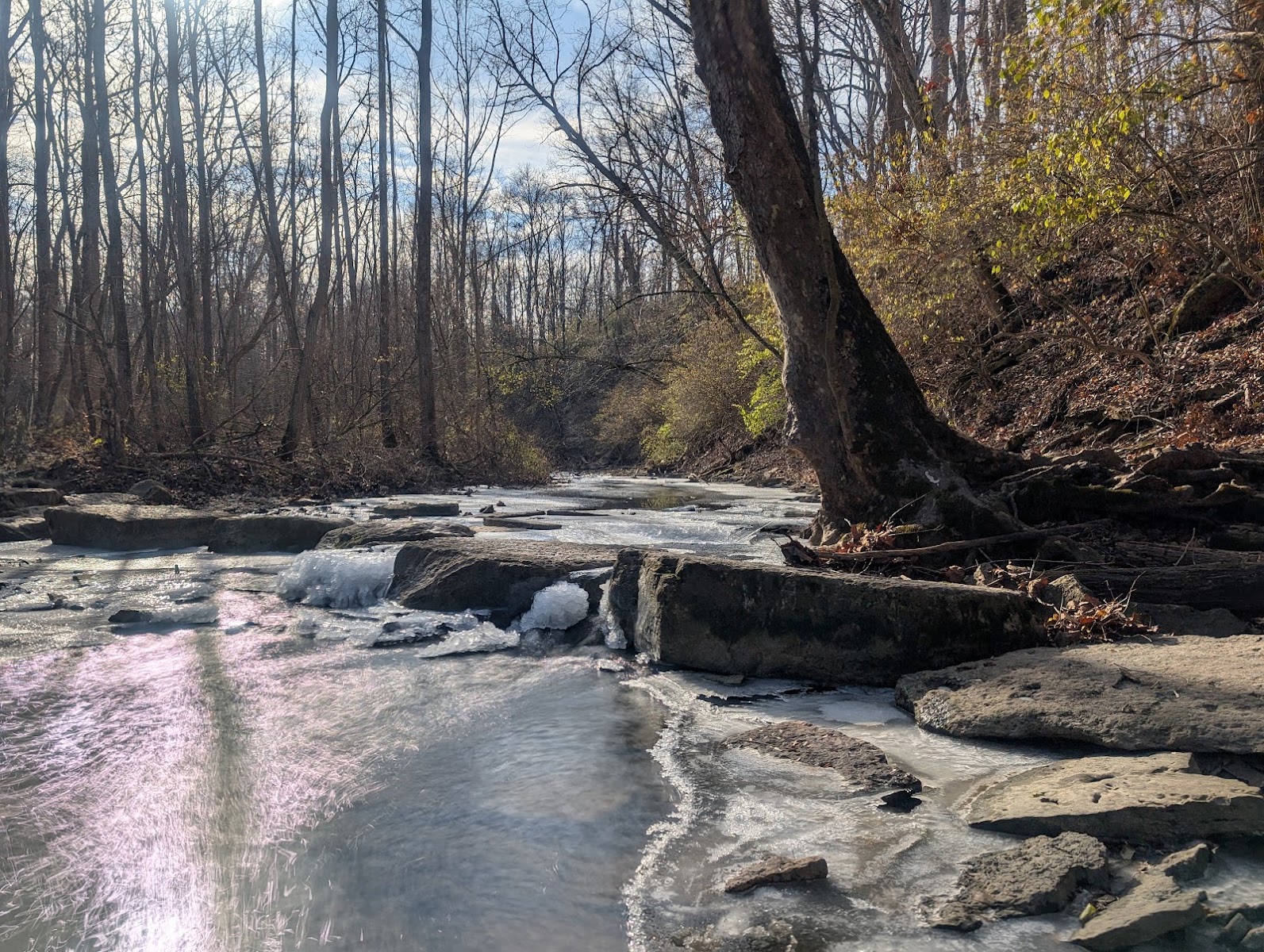 Bill Yeck Park