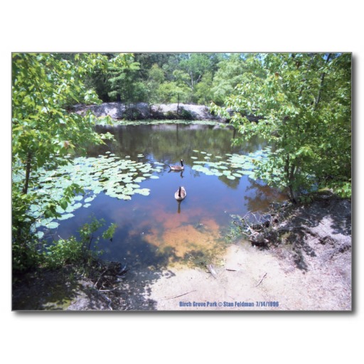 Birch Grove Park