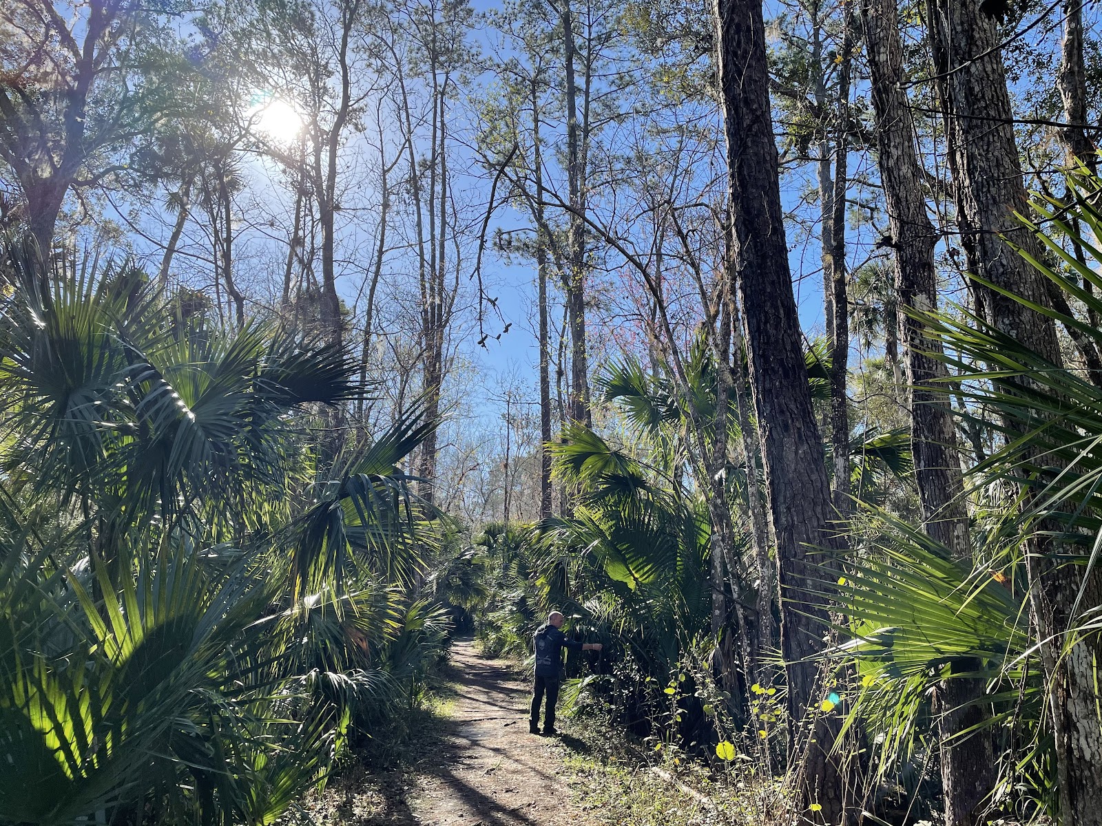 Black Bear Wilderness Trailhead