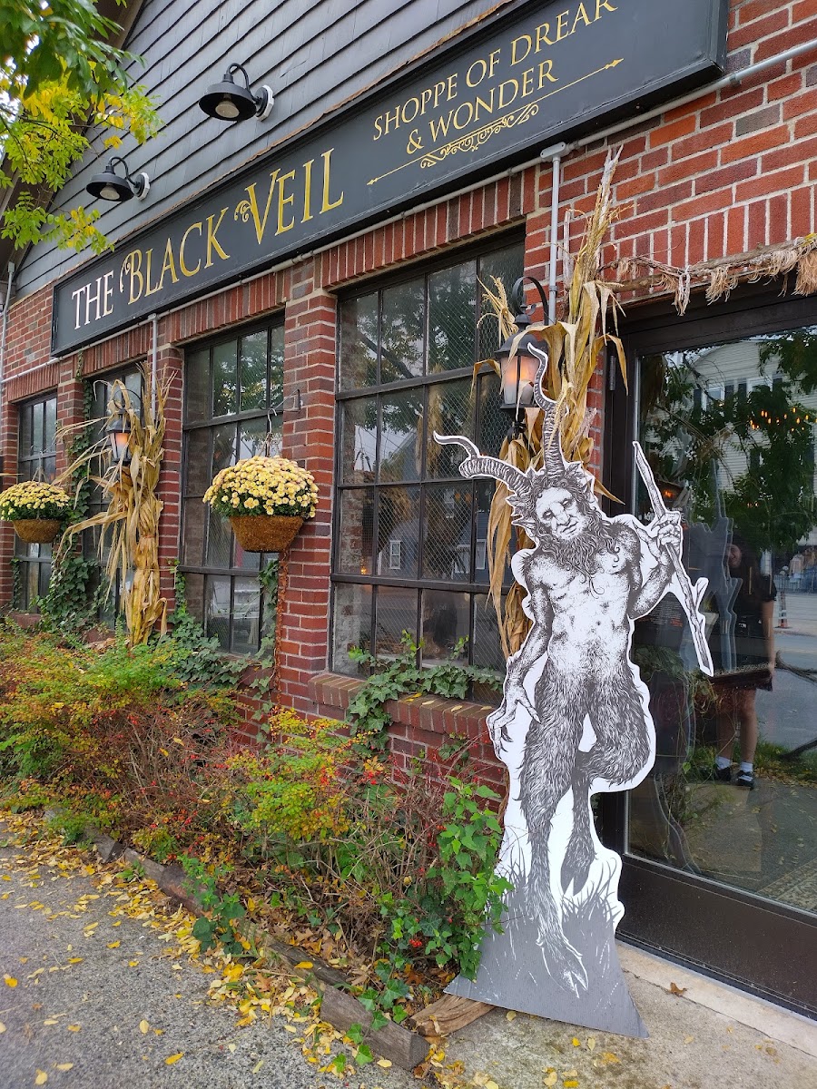Black Veil Shoppe of Drear & Wonder