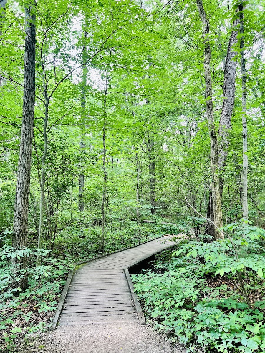 Blacklick Woods Metro Park