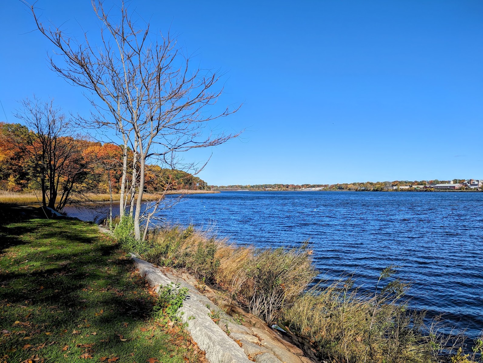 Blackstone Park Conservation District