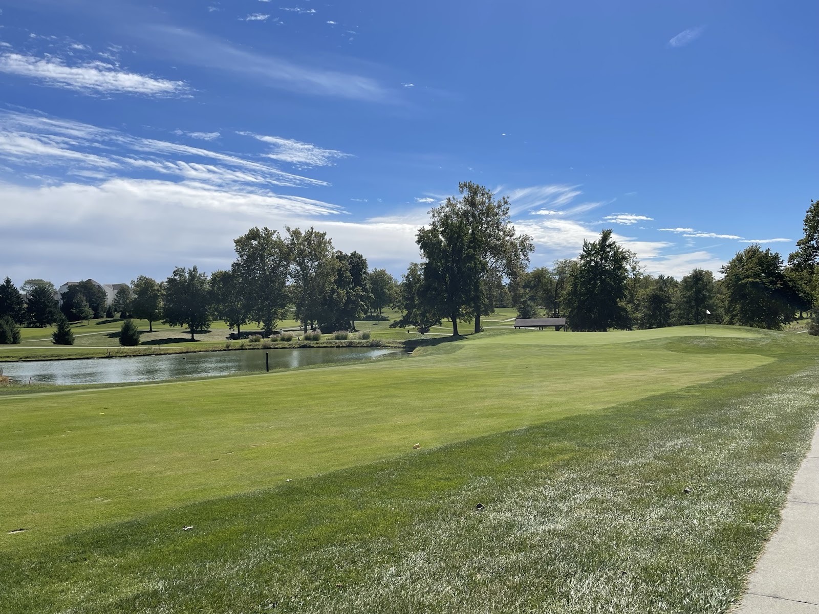 Golf Adventure & Casual Bites in Cincinnati