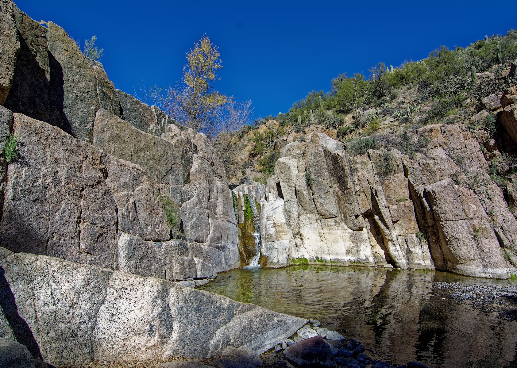 Blue Wash Trailhead