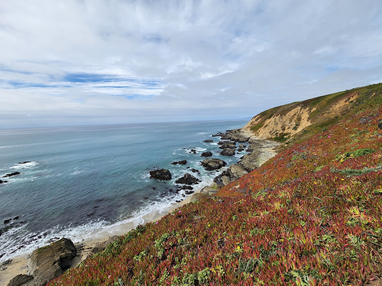 Bodega Bay Trailhead