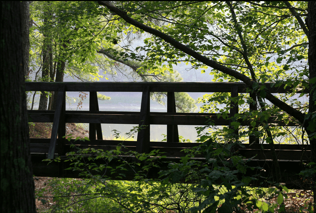 Bowie Nature Park