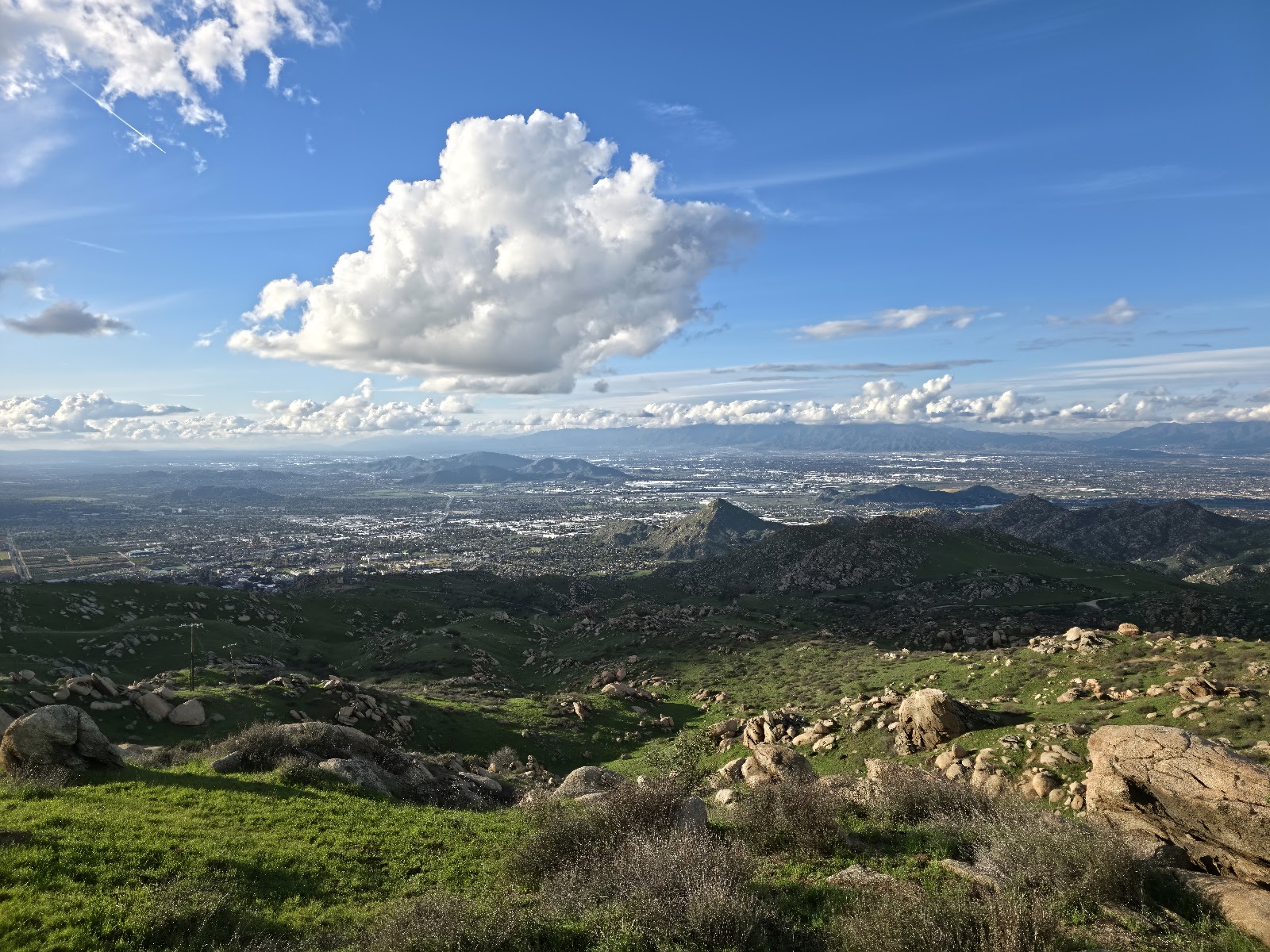 Box Springs Mountain Reserve