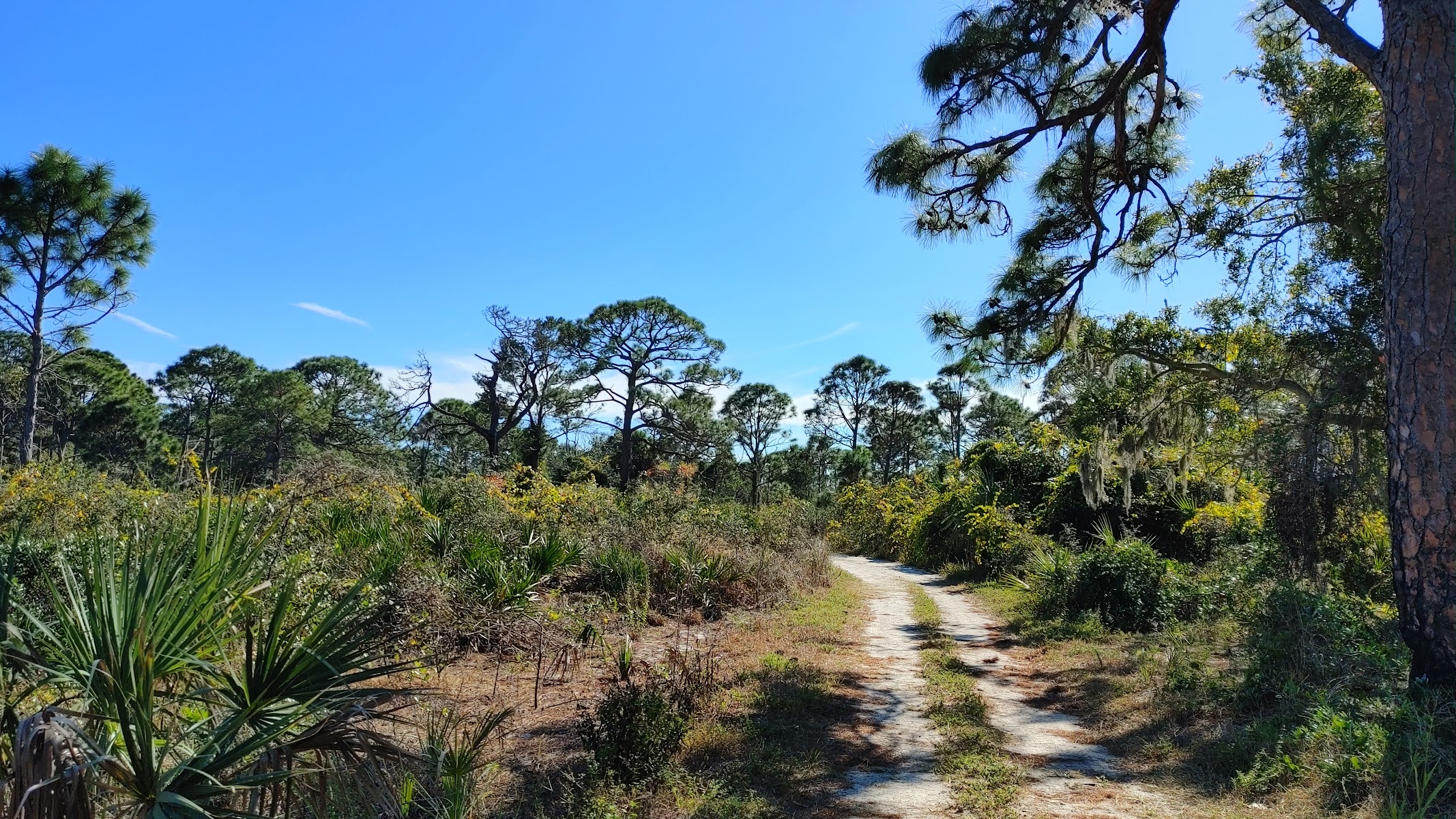 Boyd Hill Nature Preserve