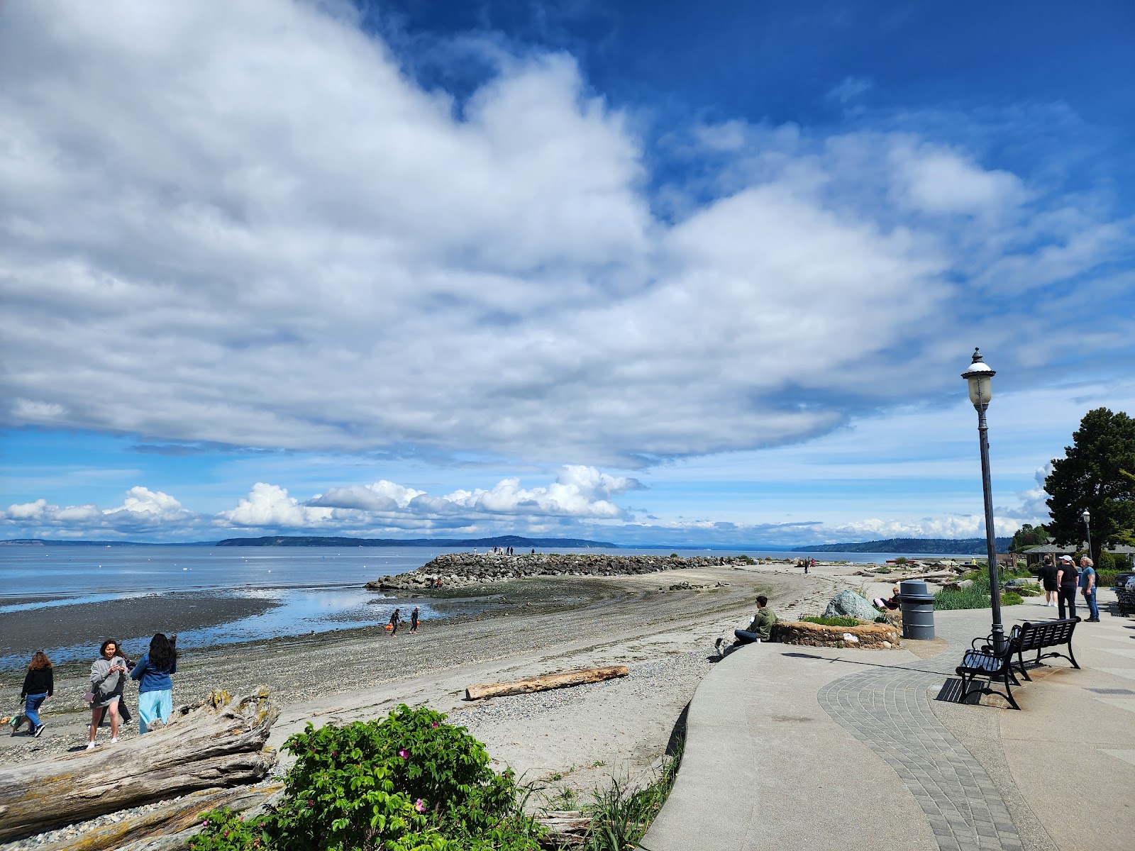Brackett's Landing North